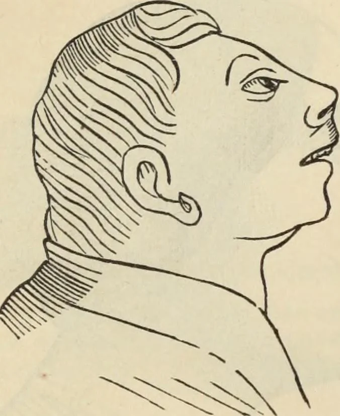 An illustration from New Physiognomy : or signs of character, as manifested through temperament and external forms, and especially in the "the human face divine.", 1889, leaf 267