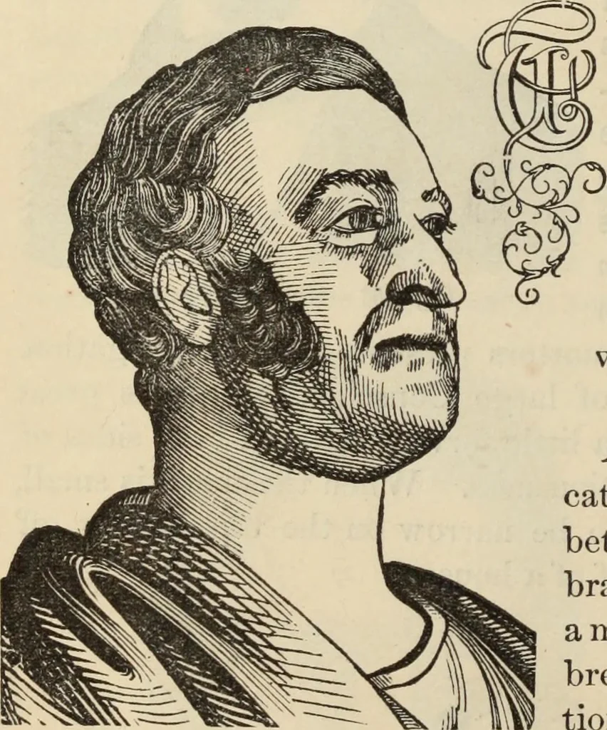An illustration from New Physiognomy : or signs of character, as manifested through temperament and external forms, and especially in the "the human face divine.", 1889, leaf 271