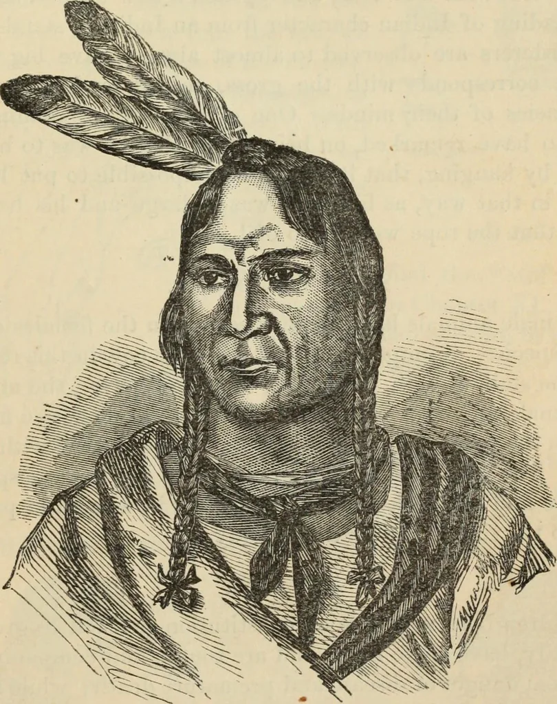 An illustration from New Physiognomy : or signs of character, as manifested through temperament and external forms, and especially in the "the human face divine.", 1889, leaf 272