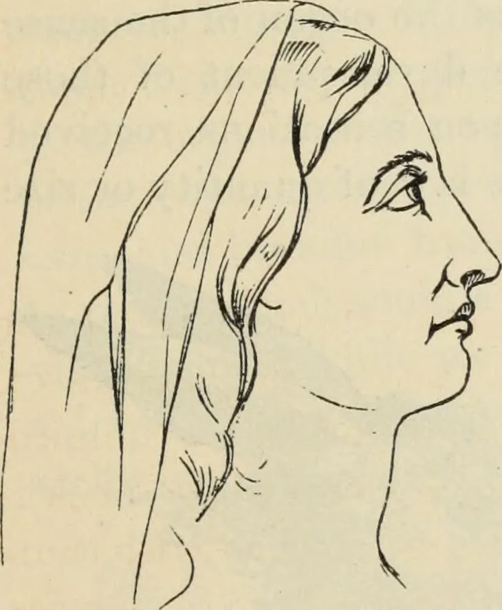 An illustration from New Physiognomy : or signs of character, as manifested through temperament and external forms, and especially in the "the human face divine.", 1889, leaf 274