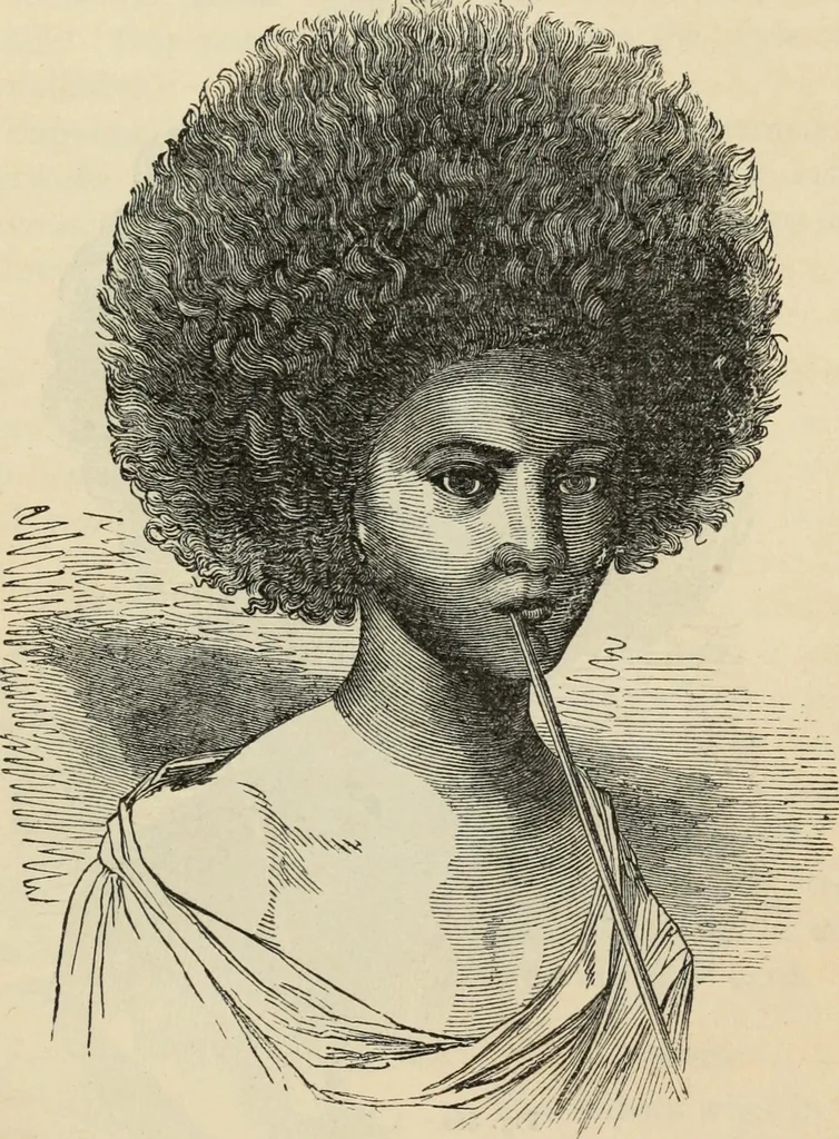 An illustration from New Physiognomy : or signs of character, as manifested through temperament and external forms, and especially in the "the human face divine.", 1889, leaf 286