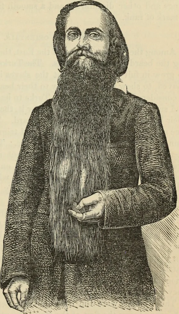 An illustration from New Physiognomy : or signs of character, as manifested through temperament and external forms, and especially in the "the human face divine.", 1889, leaf 294