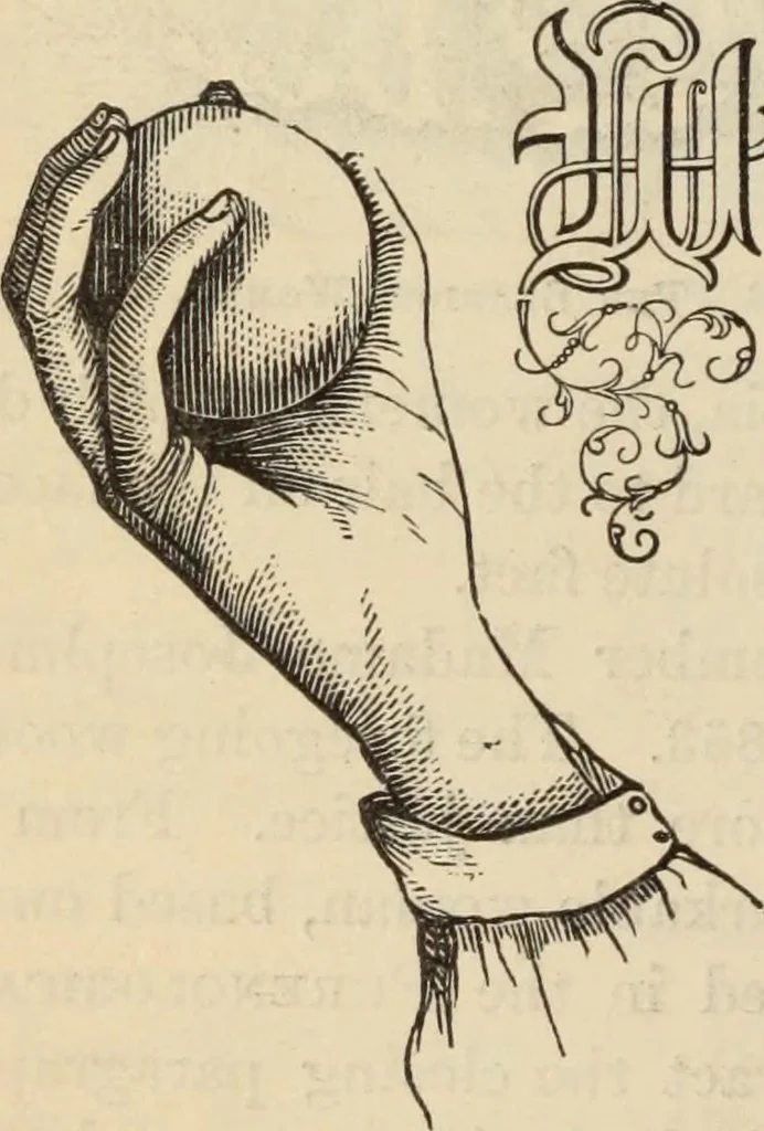 An illustration from New Physiognomy : or signs of character, as manifested through temperament and external forms, and especially in the "the human face divine.", 1889, leaf 301