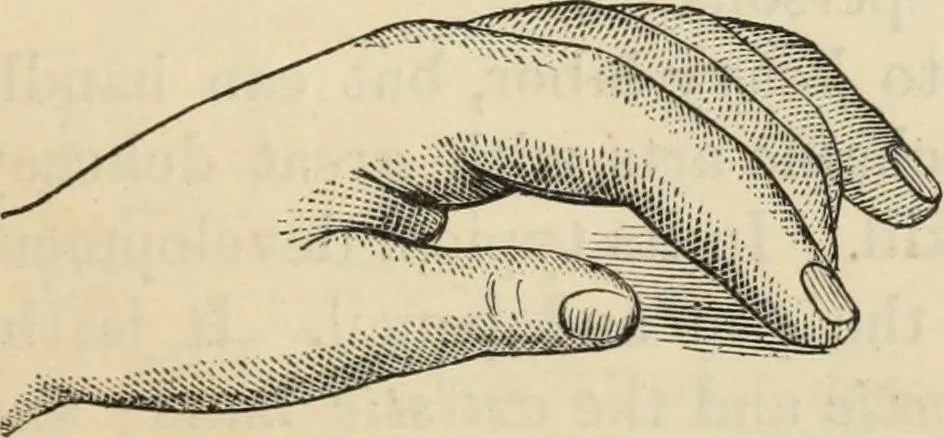 An illustration from New Physiognomy : or signs of character, as manifested through temperament and external forms, and especially in the "the human face divine.", 1889, leaf 310