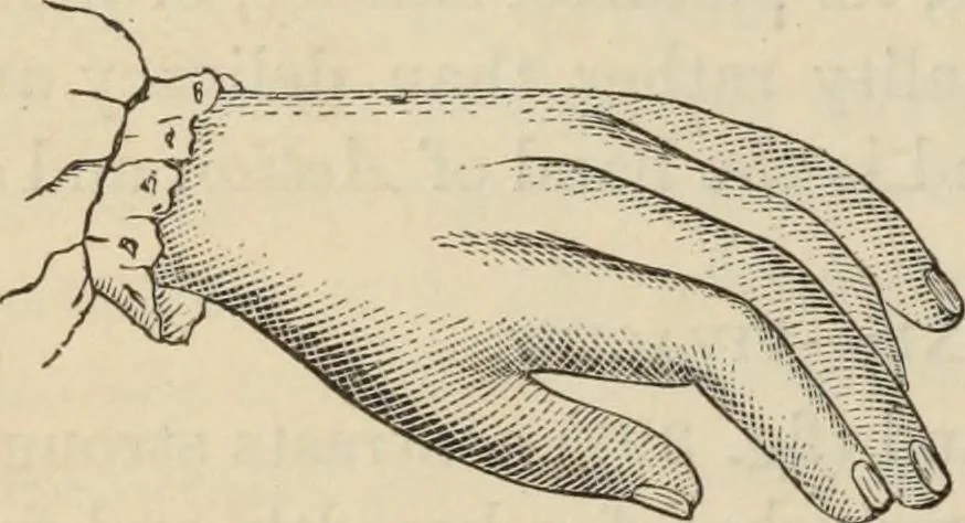 An illustration from New Physiognomy : or signs of character, as manifested through temperament and external forms, and especially in the "the human face divine.", 1889, leaf 311