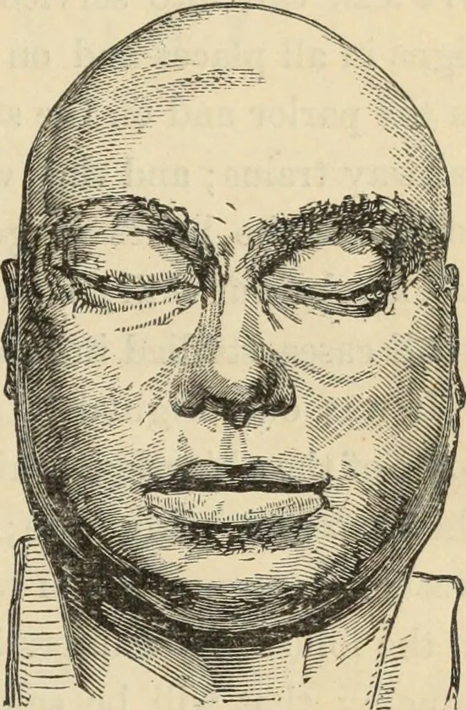 An illustration from New Physiognomy : or signs of character, as manifested through temperament and external forms, and especially in the "the human face divine.", 1889, leaf 32