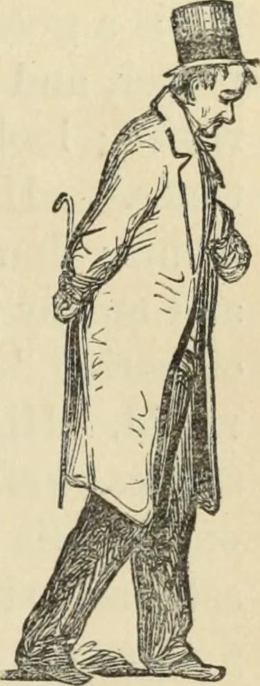 An illustration from New Physiognomy : or signs of character, as manifested through temperament and external forms, and especially in the "the human face divine.", 1889, leaf 324