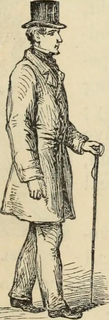 An illustration from New Physiognomy : or signs of character, as manifested through temperament and external forms, and especially in the "the human face divine.", 1889, leaf 326