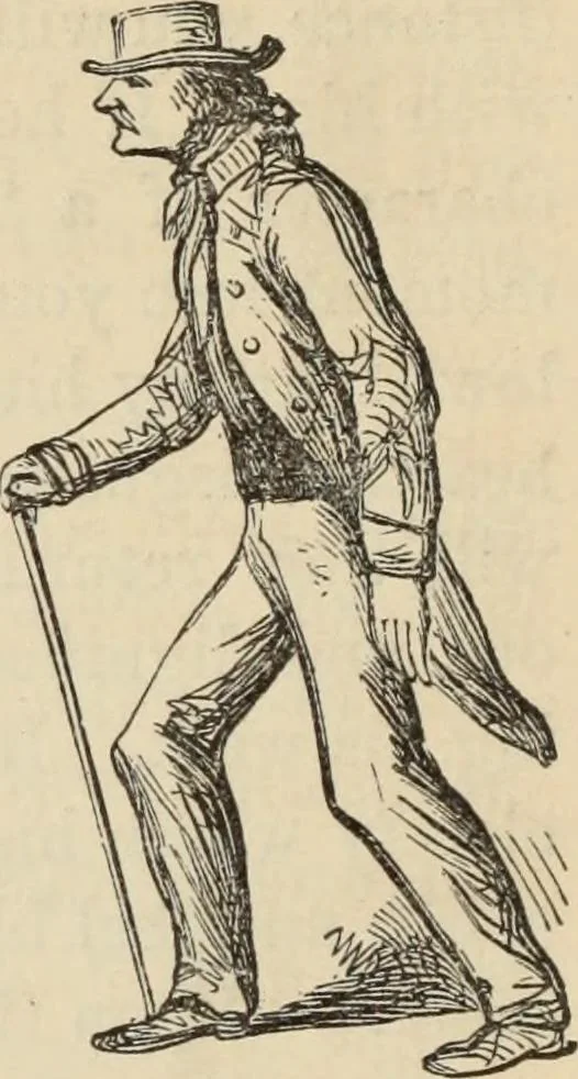 An illustration from New Physiognomy : or signs of character, as manifested through temperament and external forms, and especially in the "the human face divine.", 1889, leaf 329