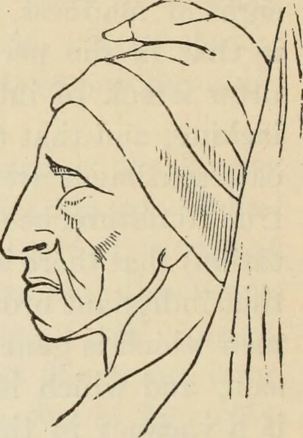 An illustration from New Physiognomy : or signs of character, as manifested through temperament and external forms, and especially in the "the human face divine.", 1889, leaf 347