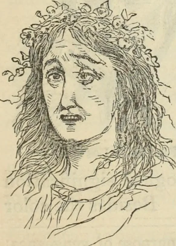 An illustration from New Physiognomy : or signs of character, as manifested through temperament and external forms, and especially in the "the human face divine.", 1889, leaf 350