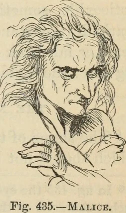 An illustration from New Physiognomy : or signs of character, as manifested through temperament and external forms, and especially in the "the human face divine.", 1889, leaf 350