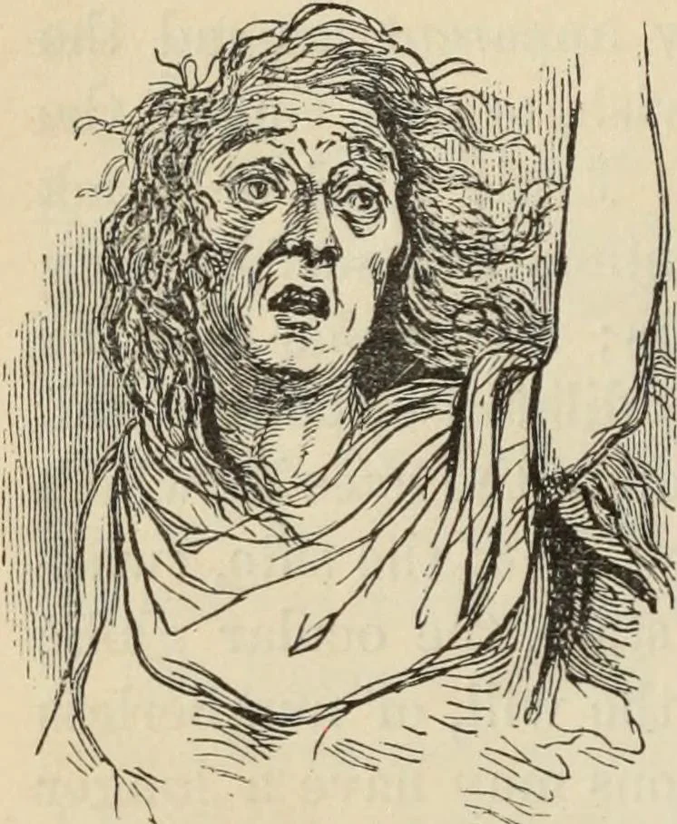 An illustration from New Physiognomy : or signs of character, as manifested through temperament and external forms, and especially in the "the human face divine.", 1889, leaf 351