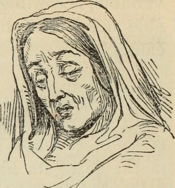 An illustration from New Physiognomy : or signs of character, as manifested through temperament and external forms, and especially in the "the human face divine.", 1889, leaf 355