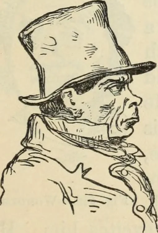 An illustration from New Physiognomy : or signs of character, as manifested through temperament and external forms, and especially in the "the human face divine.", 1889, leaf 356