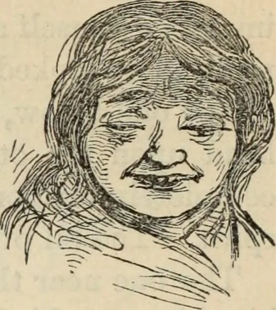 An illustration from New Physiognomy : or signs of character, as manifested through temperament and external forms, and especially in the "the human face divine.", 1889, leaf 357