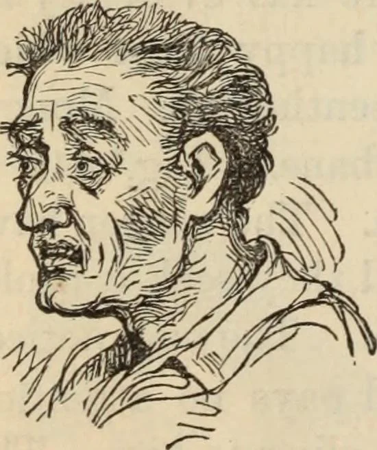 An illustration from New Physiognomy : or signs of character, as manifested through temperament and external forms, and especially in the "the human face divine.", 1889, leaf 357