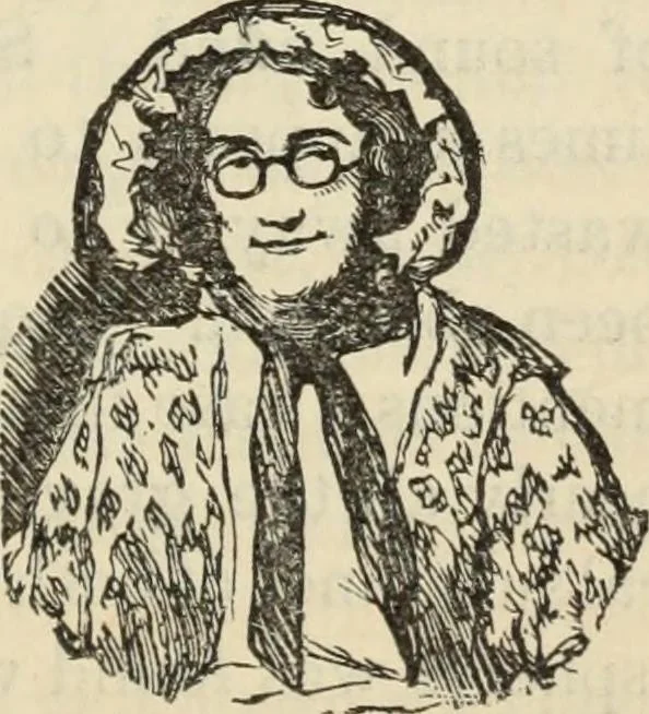 An illustration from New Physiognomy : or signs of character, as manifested through temperament and external forms, and especially in the "the human face divine.", 1889, leaf 358