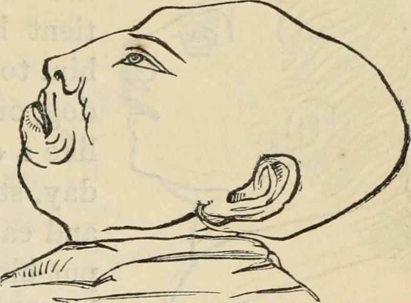 An illustration from New Physiognomy : or signs of character, as manifested through temperament and external forms, and especially in the "the human face divine.", 1889, leaf 362