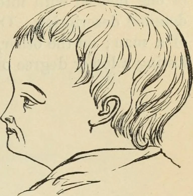 An illustration from New Physiognomy : or signs of character, as manifested through temperament and external forms, and especially in the "the human face divine.", 1889, leaf 364