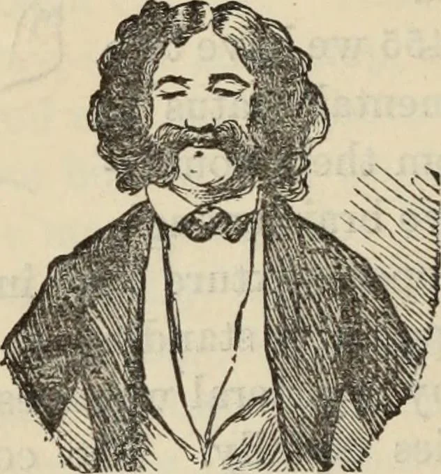 An illustration from New Physiognomy : or signs of character, as manifested through temperament and external forms, and especially in the "the human face divine.", 1889, leaf 365