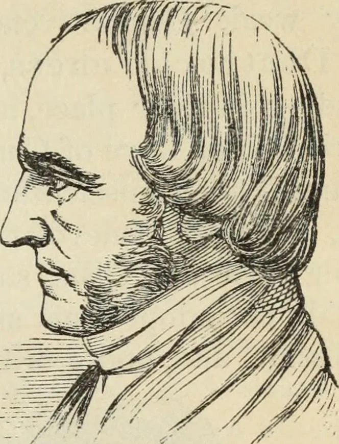 An illustration from New Physiognomy : or signs of character, as manifested through temperament and external forms, and especially in the "the human face divine.", 1889, leaf 368