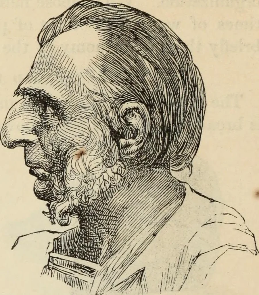 An illustration from New Physiognomy : or signs of character, as manifested through temperament and external forms, and especially in the "the human face divine.", 1889, leaf 369