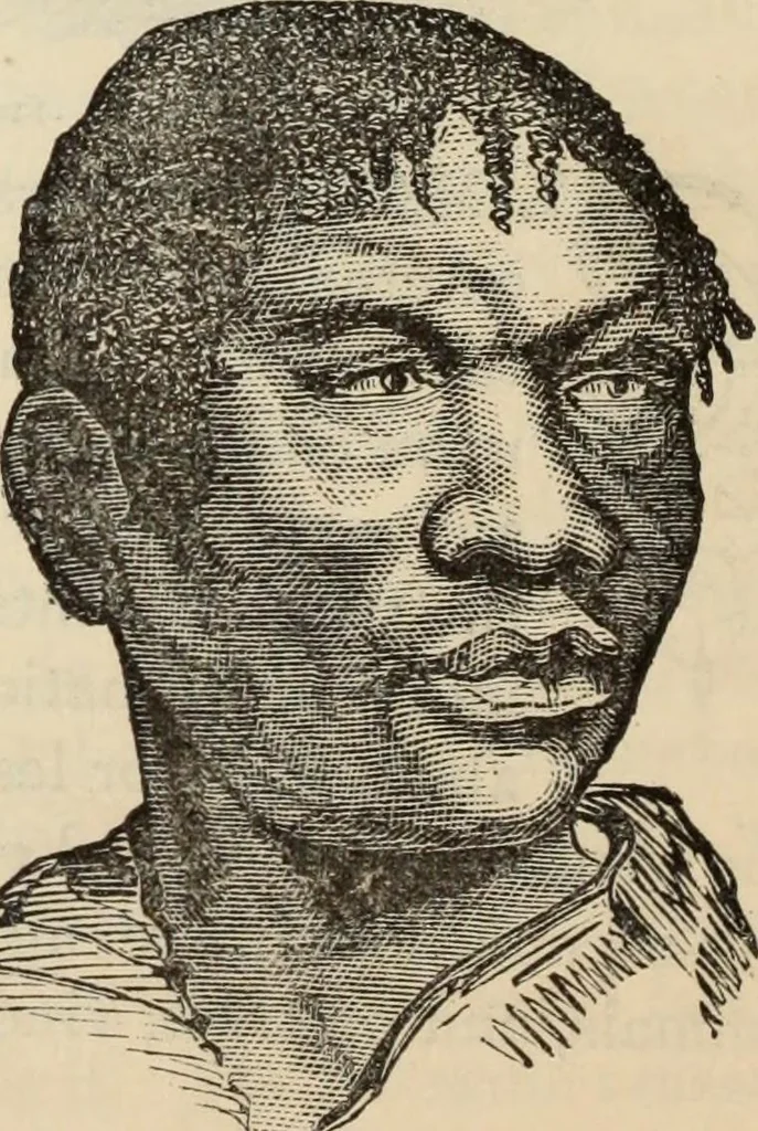 An illustration from New Physiognomy : or signs of character, as manifested through temperament and external forms, and especially in the "the human face divine.", 1889, leaf 373