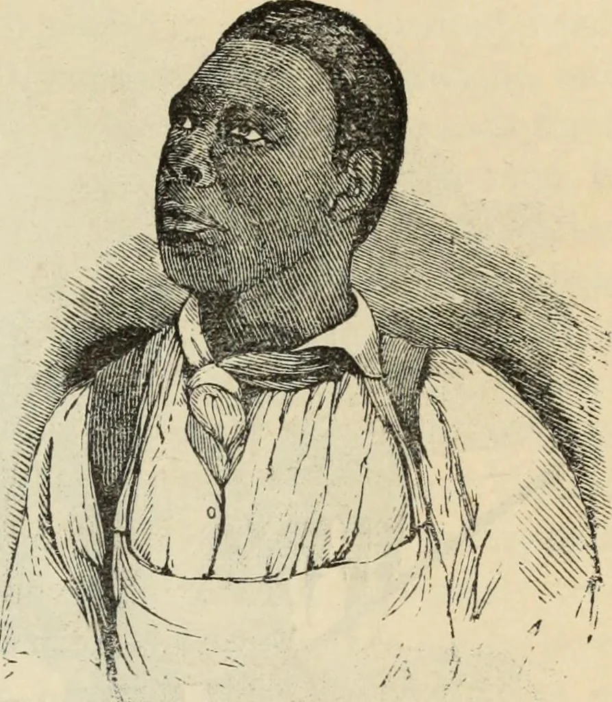 An illustration from New Physiognomy : or signs of character, as manifested through temperament and external forms, and especially in the "the human face divine.", 1889, leaf 374