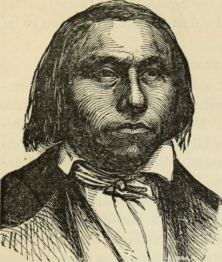 An illustration from New Physiognomy : or signs of character, as manifested through temperament and external forms, and especially in the "the human face divine.", 1889, leaf 376