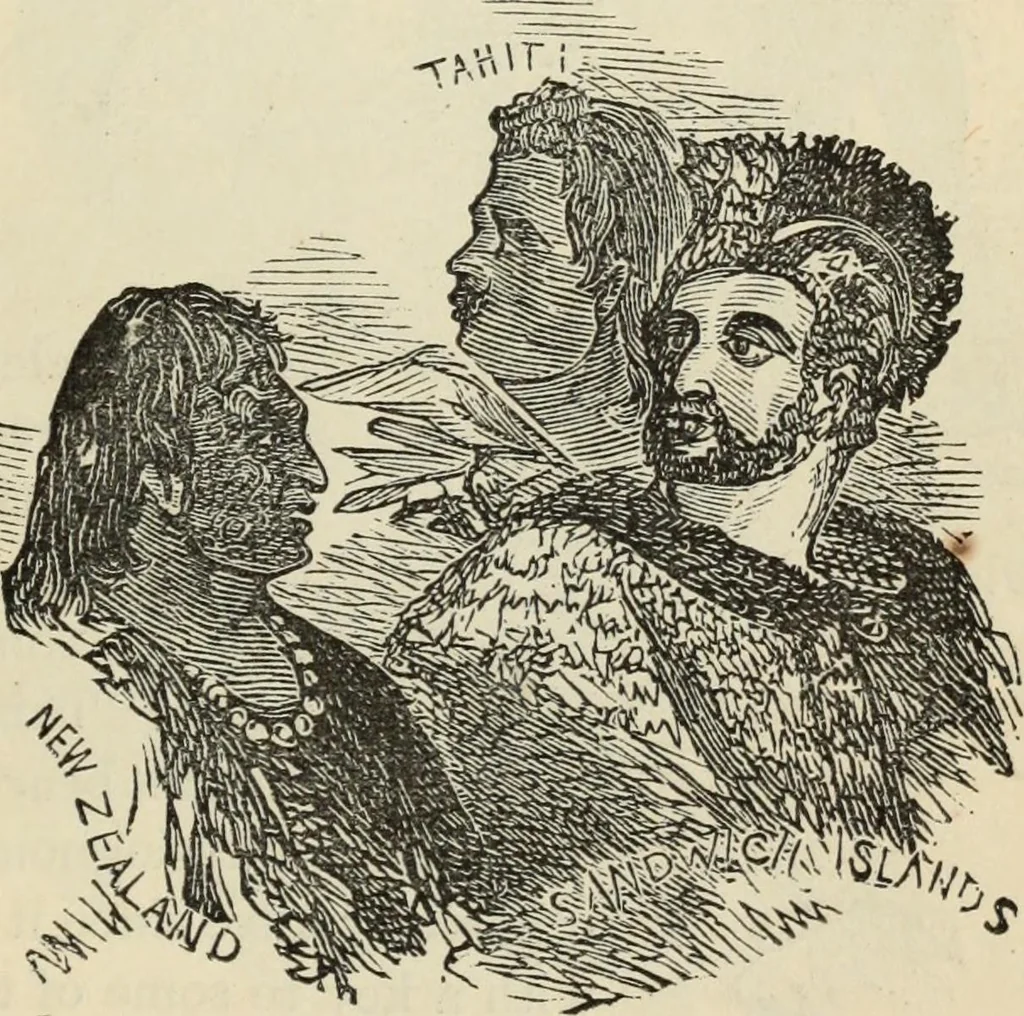 An illustration from New Physiognomy : or signs of character, as manifested through temperament and external forms, and especially in the "the human face divine.", 1889, leaf 384