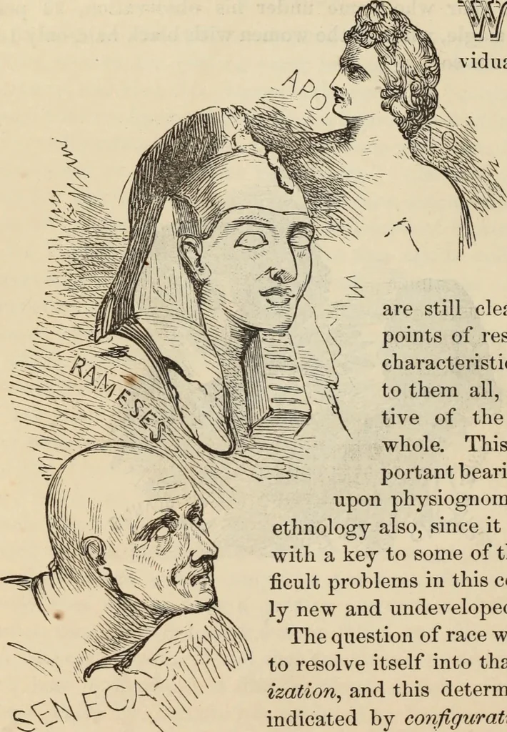 An illustration from New Physiognomy : or signs of character, as manifested through temperament and external forms, and especially in the "the human face divine.", 1889, leaf 385