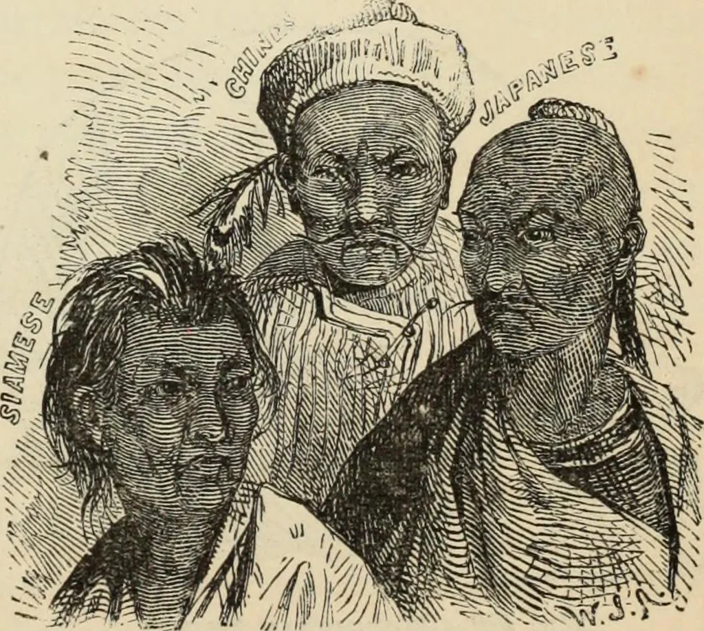 An illustration from New Physiognomy : or signs of character, as manifested through temperament and external forms, and especially in the "the human face divine.", 1889, leaf 390