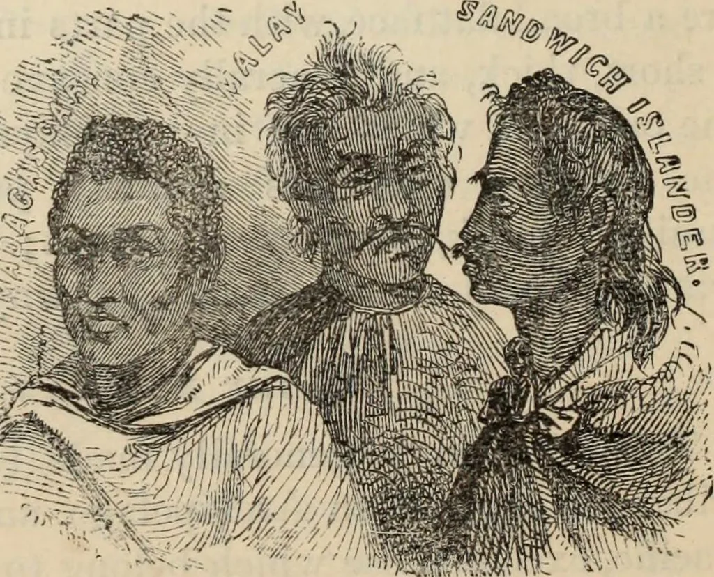 An illustration from New Physiognomy : or signs of character, as manifested through temperament and external forms, and especially in the "the human face divine.", 1889, leaf 393