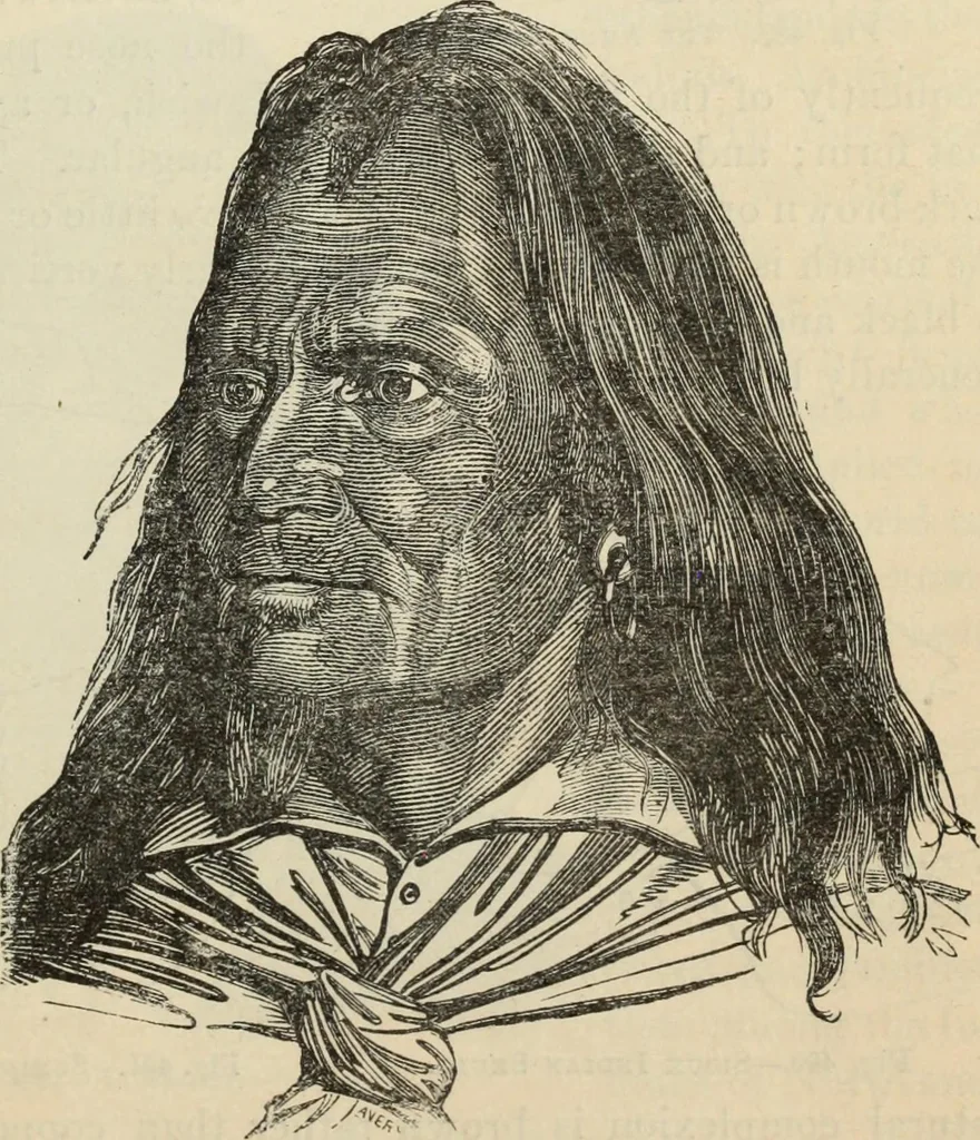 An illustration from New Physiognomy : or signs of character, as manifested through temperament and external forms, and especially in the "the human face divine.", 1889, leaf 394