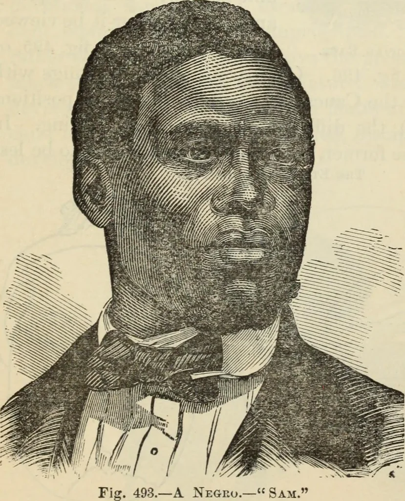 An illustration from New Physiognomy : or signs of character, as manifested through temperament and external forms, and especially in the "the human face divine.", 1889, leaf 396