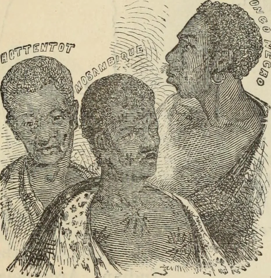 An illustration from New Physiognomy : or signs of character, as manifested through temperament and external forms, and especially in the "the human face divine.", 1889, leaf 397