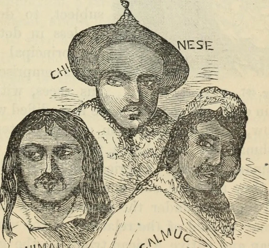 An illustration from New Physiognomy : or signs of character, as manifested through temperament and external forms, and especially in the "the human face divine.", 1889, leaf 398