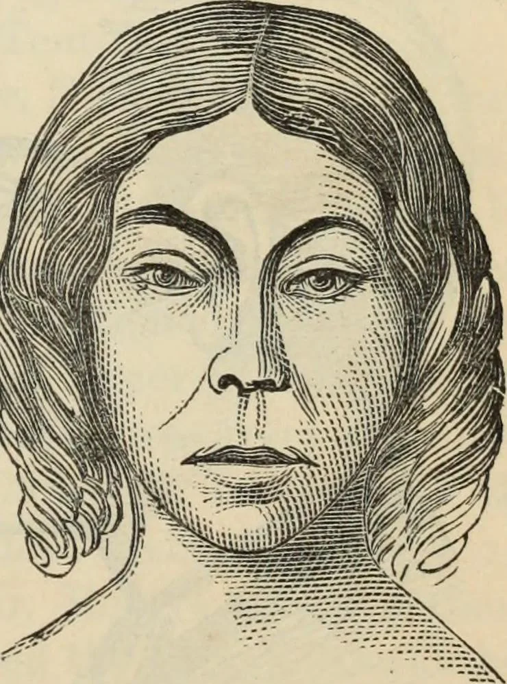 An illustration from New Physiognomy : or signs of character, as manifested through temperament and external forms, and especially in the "the human face divine.", 1889, leaf 408