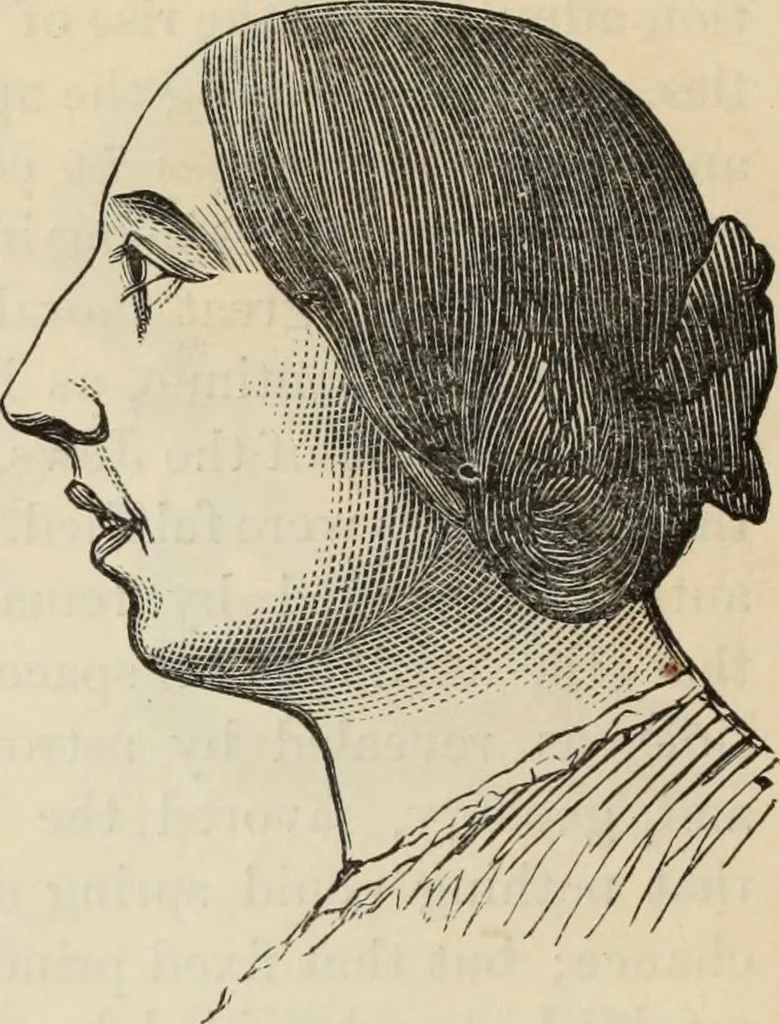 An illustration from New Physiognomy : or signs of character, as manifested through temperament and external forms, and especially in the "the human face divine.", 1889, leaf 411