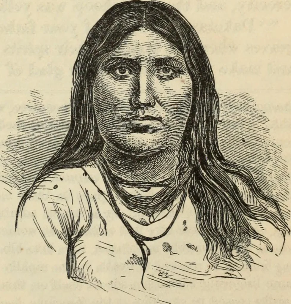 An illustration from New Physiognomy : or signs of character, as manifested through temperament and external forms, and especially in the "the human face divine.", 1889, leaf 460