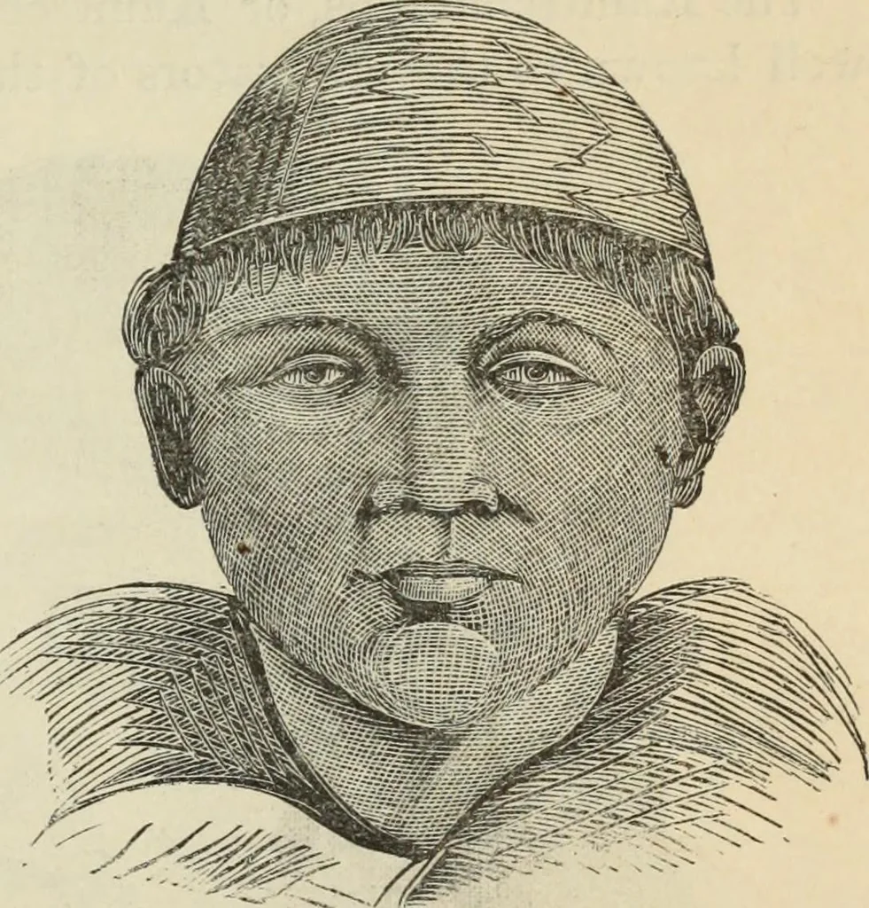 An illustration from New Physiognomy : or signs of character, as manifested through temperament and external forms, and especially in the "the human face divine.", 1889, leaf 464