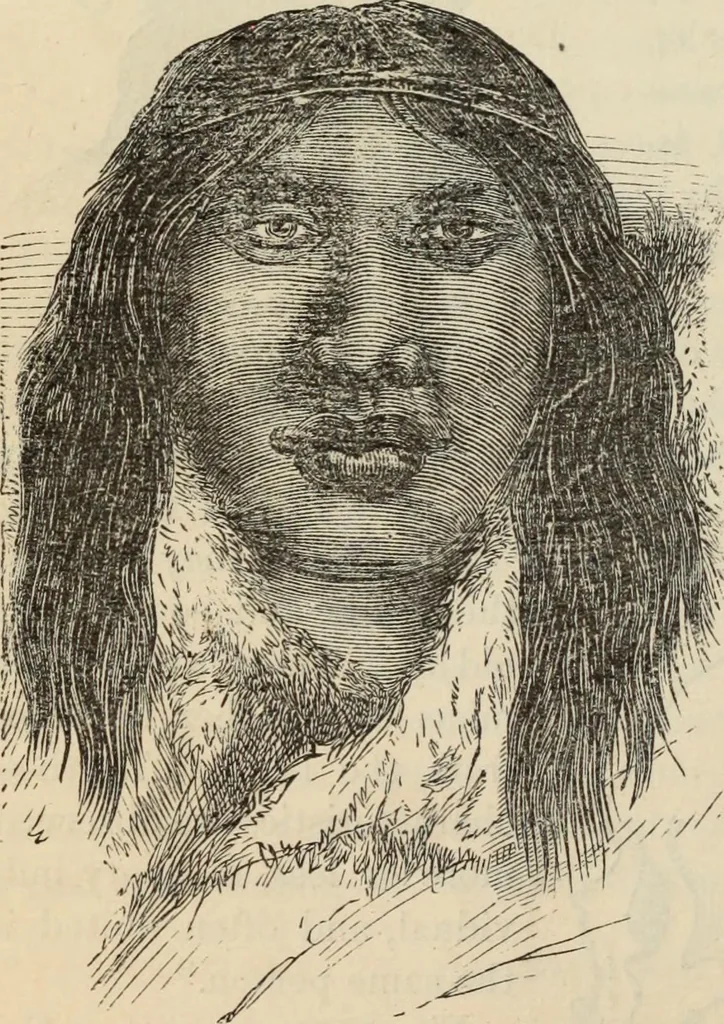 An illustration from New Physiognomy : or signs of character, as manifested through temperament and external forms, and especially in the "the human face divine.", 1889, leaf 469