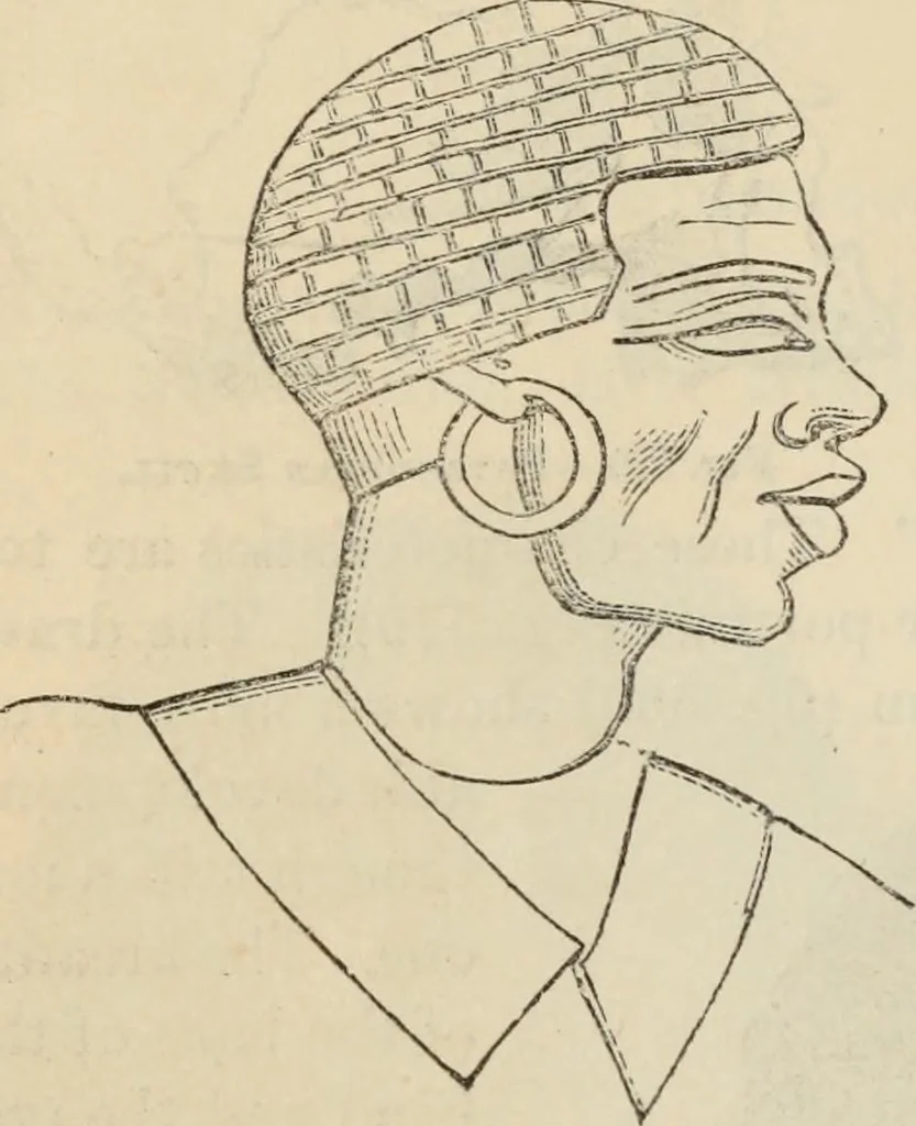An illustration from New Physiognomy : or signs of character, as manifested through temperament and external forms, and especially in the "the human face divine.", 1889, leaf 471