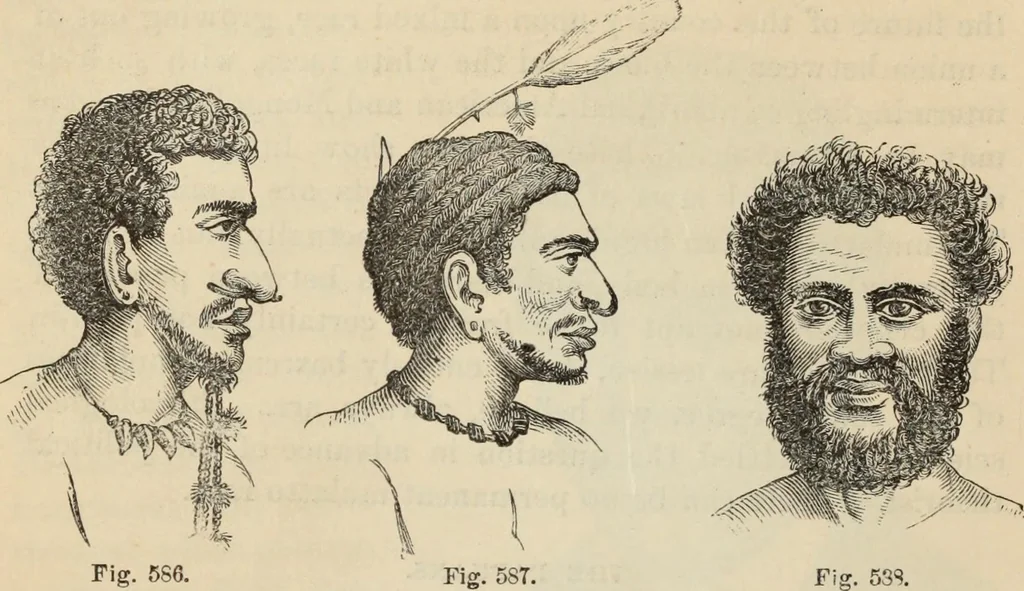 An illustration from New Physiognomy : or signs of character, as manifested through temperament and external forms, and especially in the "the human face divine.", 1889, leaf 475