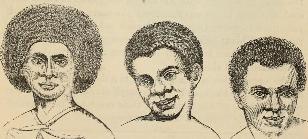 An illustration from New Physiognomy : or signs of character, as manifested through temperament and external forms, and especially in the "the human face divine.", 1889, leaf 475