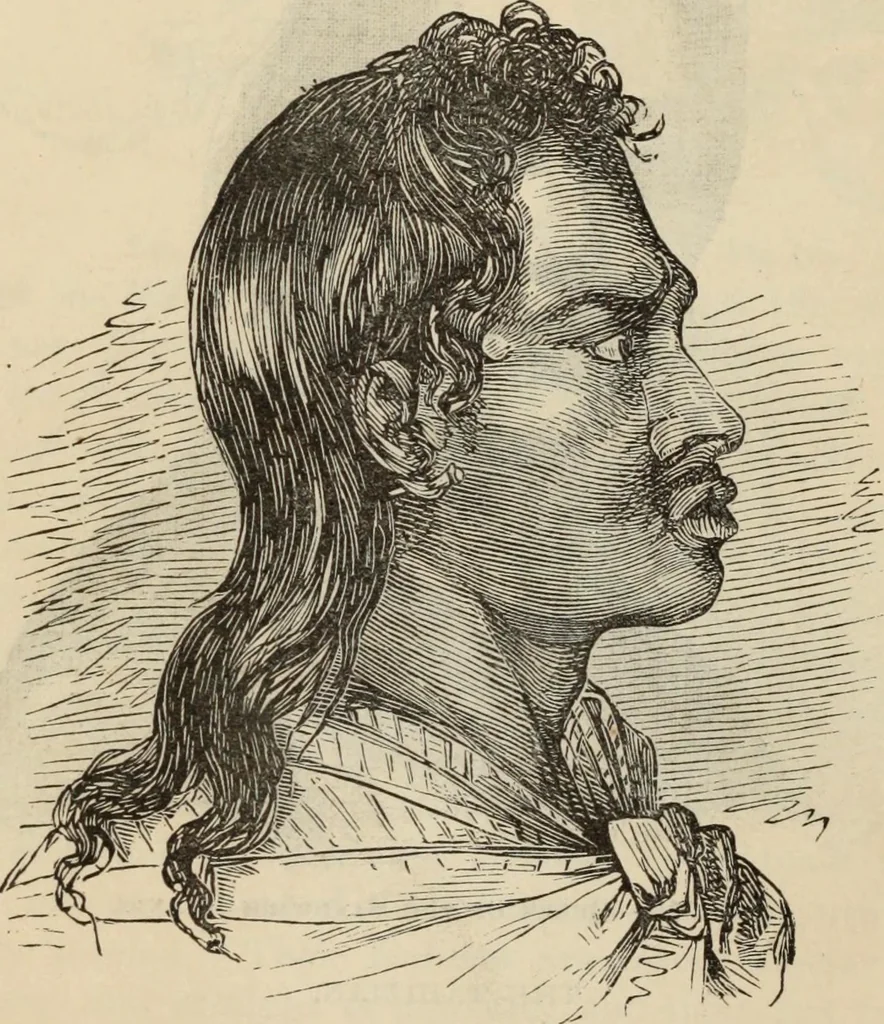 An illustration from New Physiognomy : or signs of character, as manifested through temperament and external forms, and especially in the "the human face divine.", 1889, leaf 479