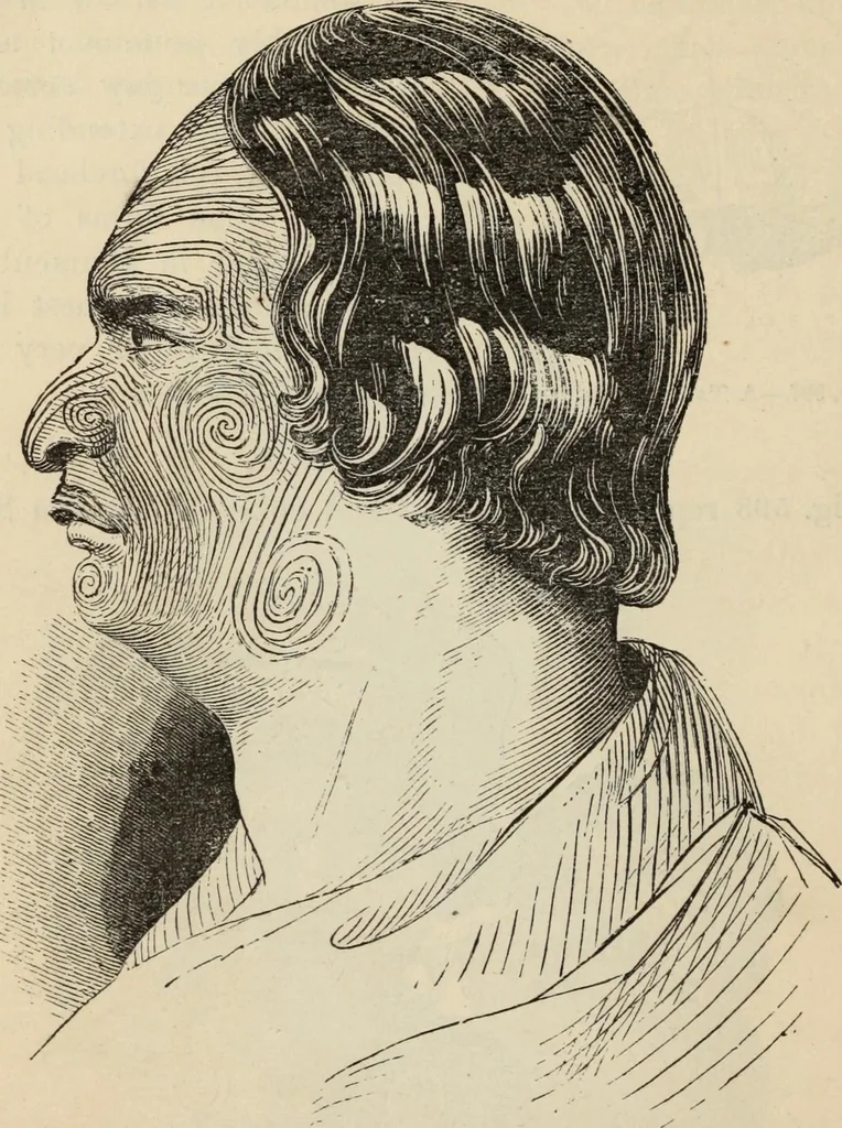 An illustration from New Physiognomy : or signs of character, as manifested through temperament and external forms, and especially in the "the human face divine.", 1889, leaf 481