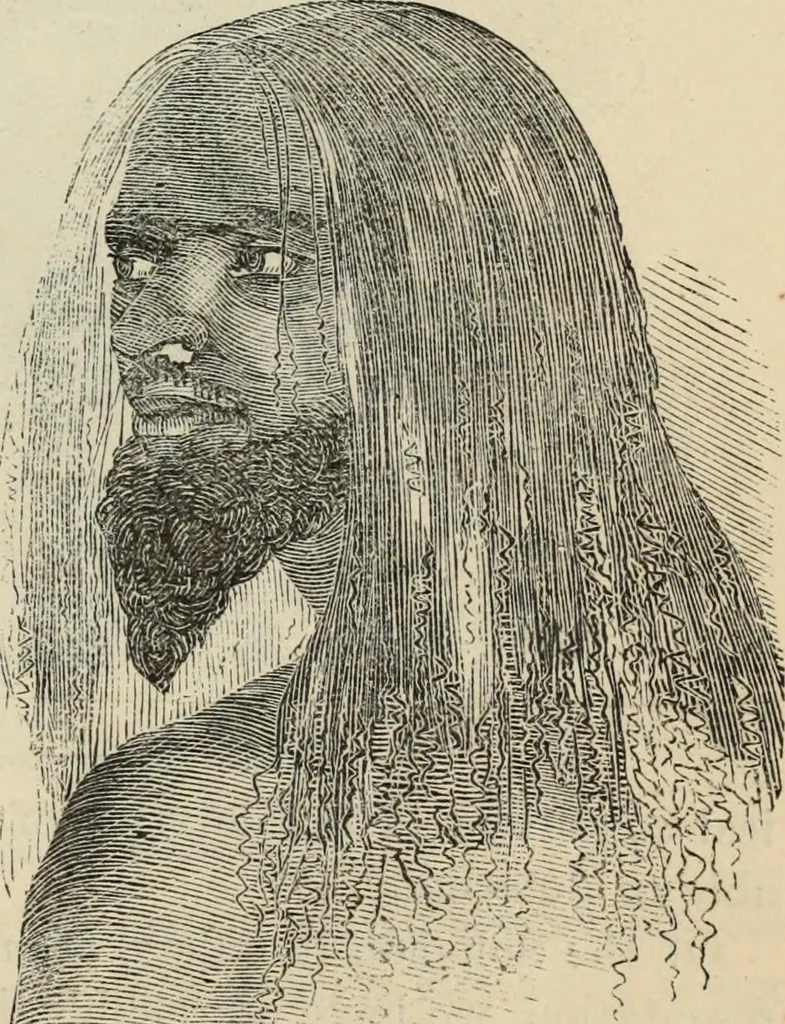 An illustration from New Physiognomy : or signs of character, as manifested through temperament and external forms, and especially in the "the human face divine.", 1889, leaf 482