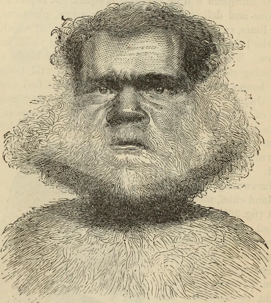 An illustration from New Physiognomy : or signs of character, as manifested through temperament and external forms, and especially in the "the human face divine.", 1889, leaf 483